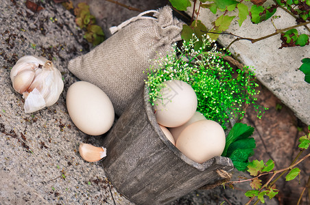 鸡蛋健康午餐袋高清图片