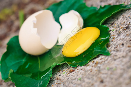 蛋黄特写营养鸡蛋黄高清图片