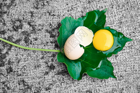 打碎的蛋打碎在叶子上的鸡蛋背景