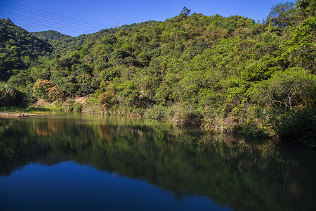 河边绿化深圳·马峦山背景