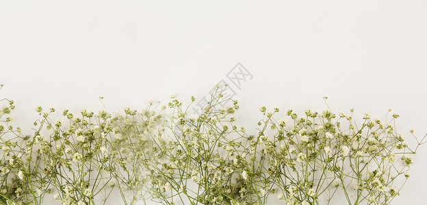 碎花背景淡绿色小清新高清图片