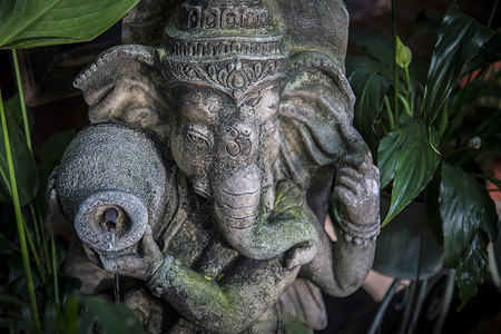 印度象神形象特征神象高清图片