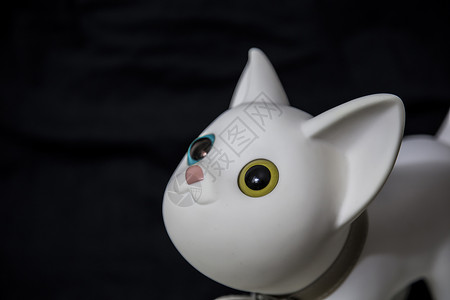 黄眼睛猫玩具萌猫背景