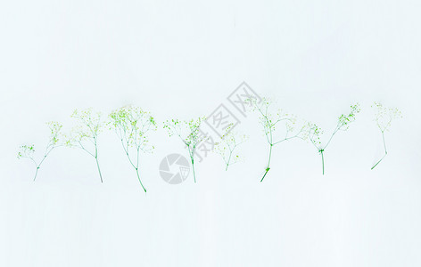 绿色植物背景海报满天星碎花背景背景