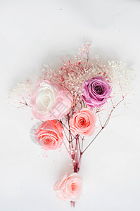 鲜花背景粉色色彩搭配高清图片