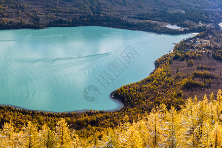 新疆卧龙湾新疆喀纳斯卧龙湾风光背景