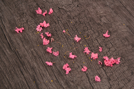 粉色肌理花瓣和木质纹理背景