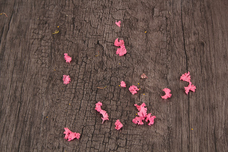 粉色木板纹理花瓣和木质纹理背景背景