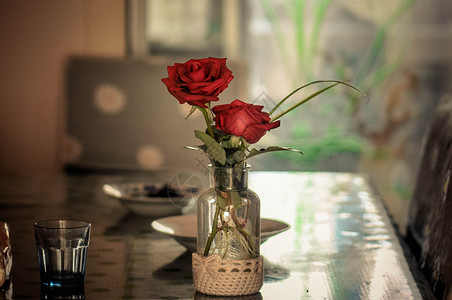 餐桌上的花玻璃瓶爱情高清图片