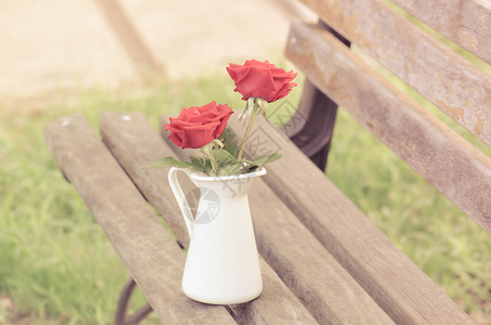 白瓶里的花红色的花玫瑰白高清图片