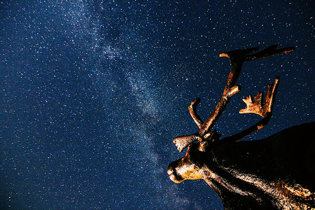 星空下的麋鹿雕像高清图片
