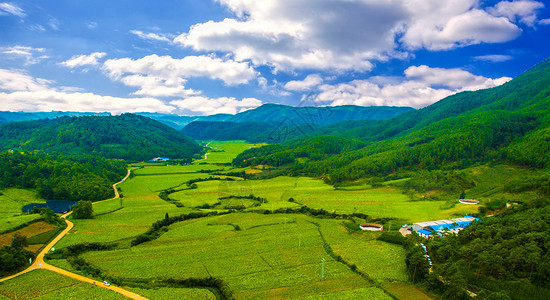 树山谷生态山谷森林航拍背景