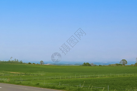 北海道夏天北海道远眺稻田群山与天空背景