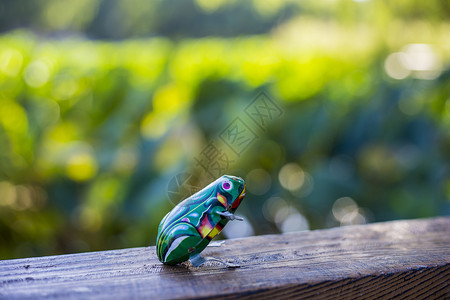 小青蛙绿色青蛙玩具高清图片