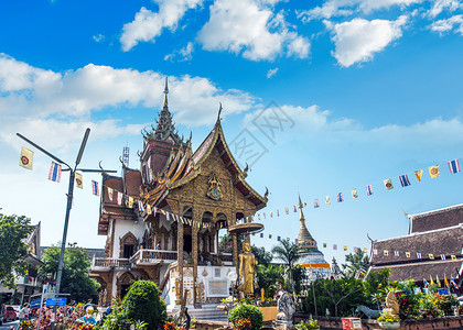 泰国清迈鲜花街景高清图片
