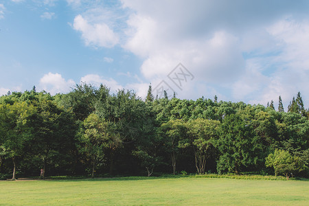 春田风景蓝天白云树木草地田原风情背景