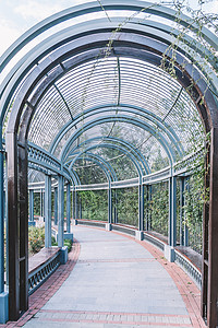公园花园园艺拱形金属图片