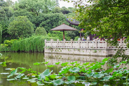 带荷花图案的团扇荷池凉亭石栏倒影风景背景