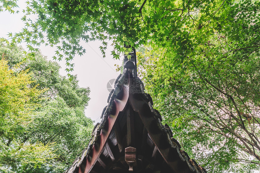 古建筑结构环境花园自然图片