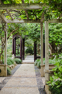 绿植拱门树廊架休息园林环境背景