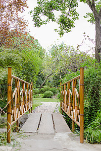 园林竹石桥园路风景图片