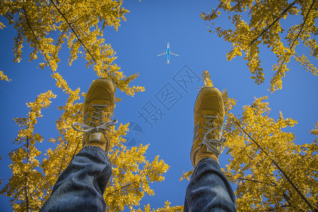 航空公园秋意浓浓背景