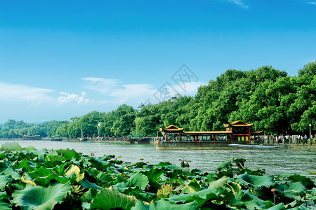 人间杭州 西湖背景