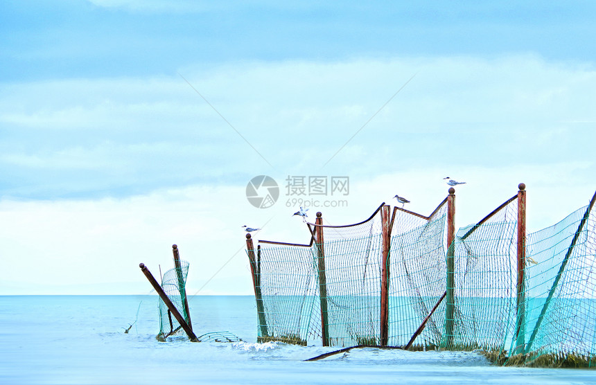 潮汐涌动的青海湖与落脚的飞鸟图片