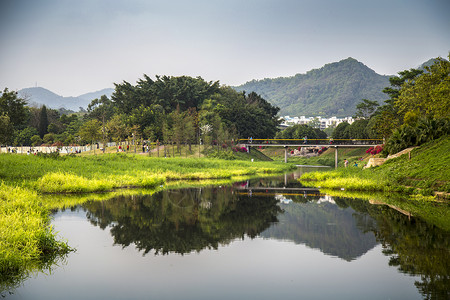 生态公园风景生态河高清图片