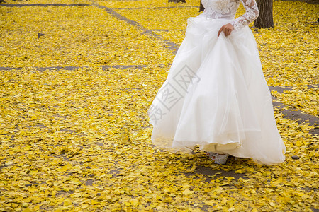 行走的秋色新娘下秋叶背景