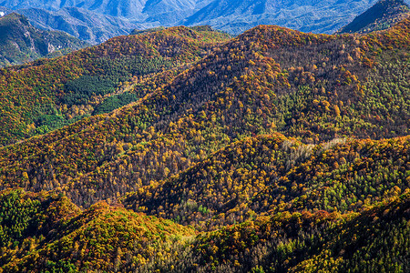秋色之山全景岩石高清图片