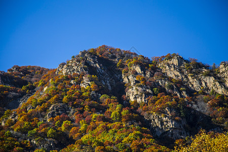 秋色之山凉爽的颜色高清图片