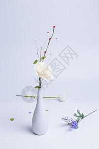 花瓶中的花背景图片