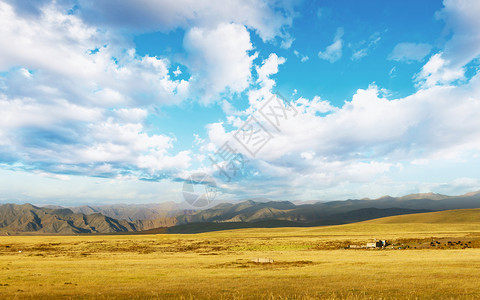 空旷草原秋季美景高清图片