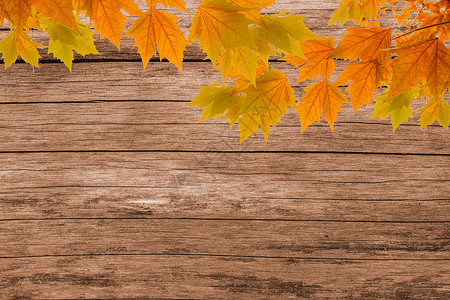 复古秋叶木底板设计素材图片