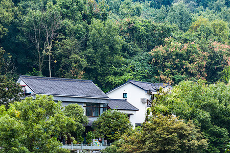 瓦房屋顶山林中的斜顶建筑背景