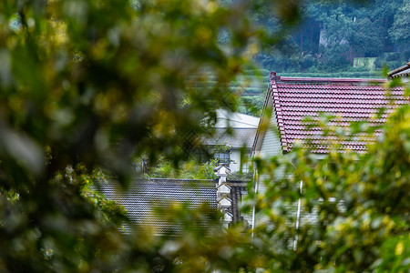 斜瓦顶屋素材山林中的斜顶建筑背景