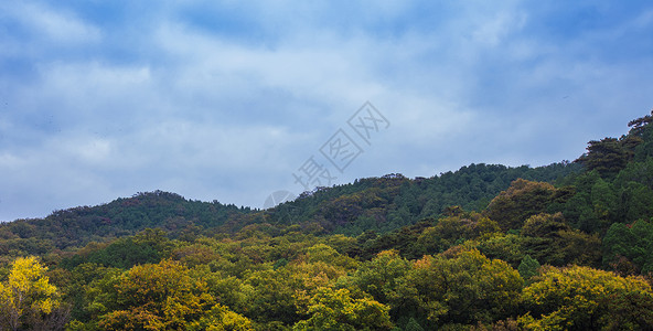 美观大气秋意.潭柘寺背景