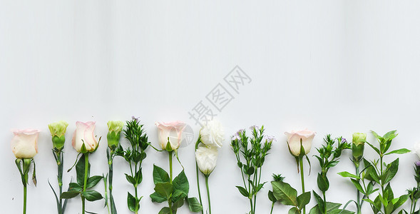 母亲节康乃馨鲜花花束背景高清图片