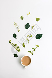 植物平面咖啡杯与叶子背景