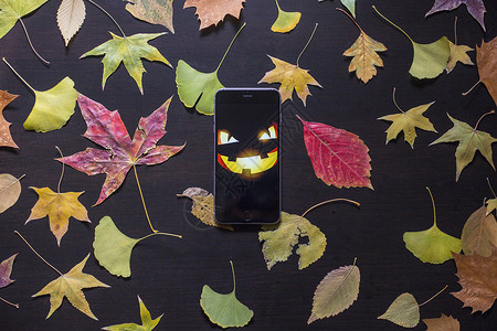 手机背景插图秋叶的万圣节背景