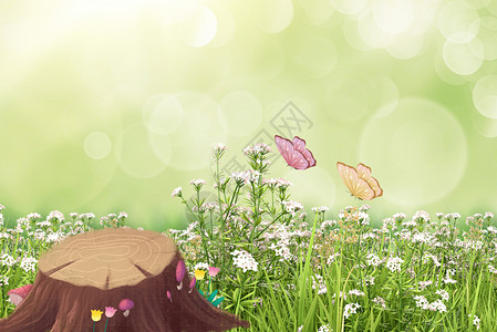 花朵树桩图片背景图片