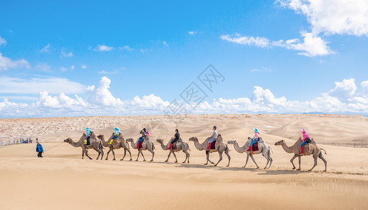 骑骆驼海边的骆驼设计图片