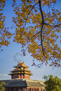 秋.紫禁城背景图片