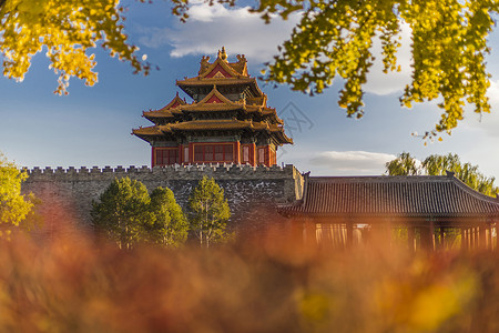 秋天建筑秋.紫禁城背景