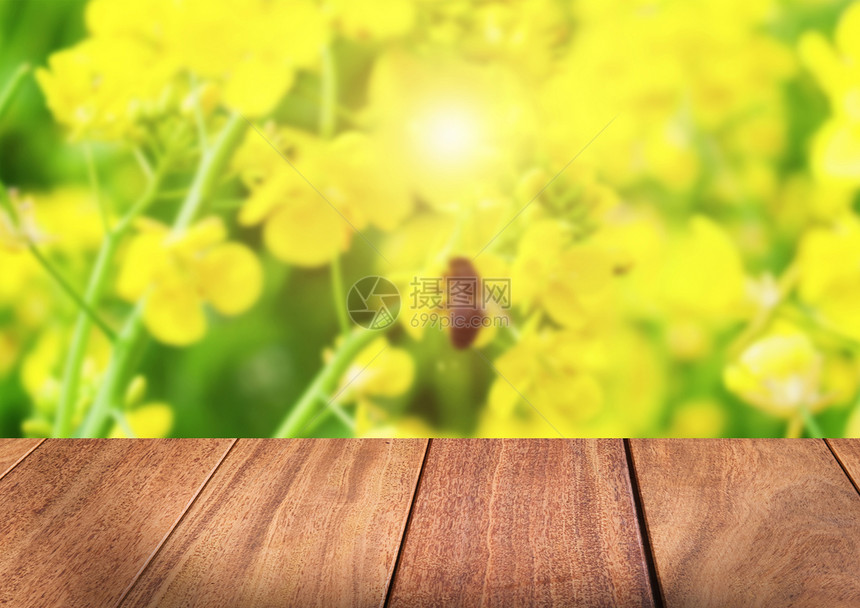 木质板旁的小花图片