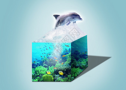 蓝色水下珊瑚跳跃的海豚设计图片