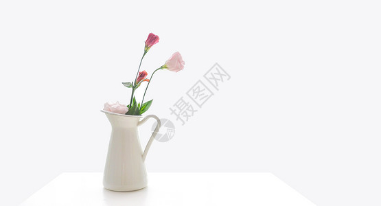 花瓶里花草桌子上的花瓶背景
