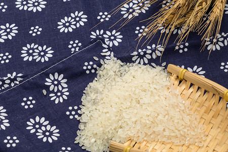 藏蓝色碎花布上的新鲜大米背景