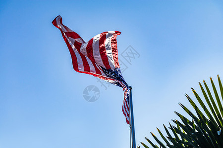 米字旗蓝天下飘扬的美国国旗背景